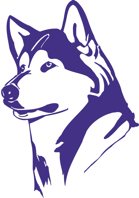 Washington Huskies 1995-2000 Partial Logo v2 DIY iron on transfer (heat transfer)